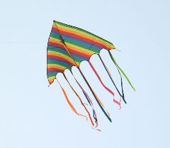 放風(fēng)箏 放風(fēng)箏