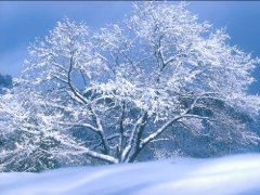 寫(xiě)景的作文200字-下雪啦 寫(xiě)景的作文200字-下雪啦