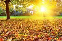 寫(xiě)景的作文100字-秋天 寫(xiě)景的作文100字-秋天