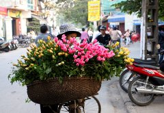 賣(mài)花的小女孩700字作文 賣(mài)花的小女孩700字作文