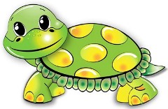 我家的小烏龜作文800字 我家的小烏龜作文800字