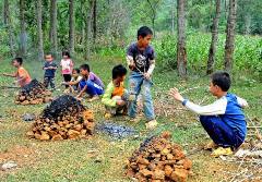 烤紅薯作文 烤紅薯作文